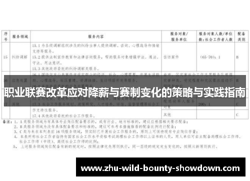 职业联赛改革应对降薪与赛制变化的策略与实践指南