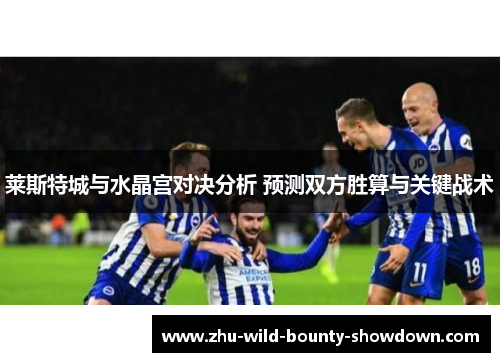 莱斯特城与水晶宫对决分析 预测双方胜算与关键战术