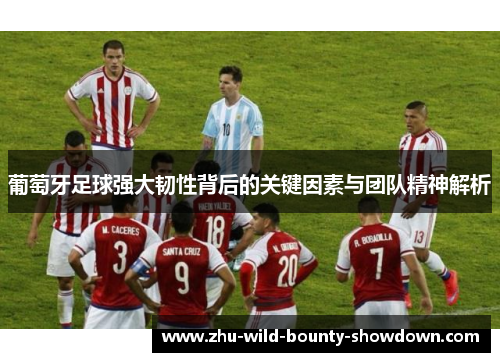 葡萄牙足球强大韧性背后的关键因素与团队精神解析