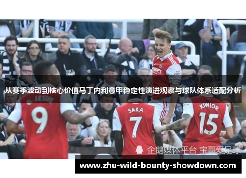 从赛季波动到核心价值马丁内利意甲稳定性演进观察与球队体系适配分析