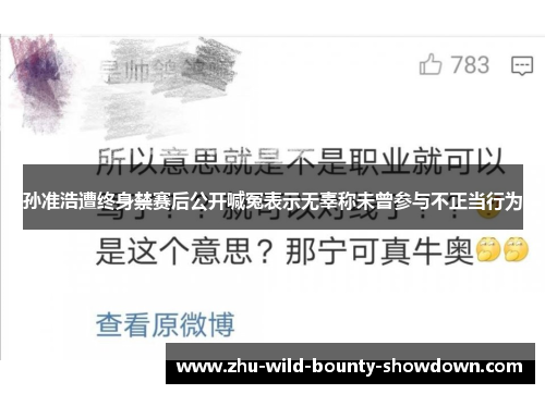 孙准浩遭终身禁赛后公开喊冤表示无辜称未曾参与不正当行为 孙准浩遭终身禁赛后公开喊冤表示无辜称未曾参与不正当行为